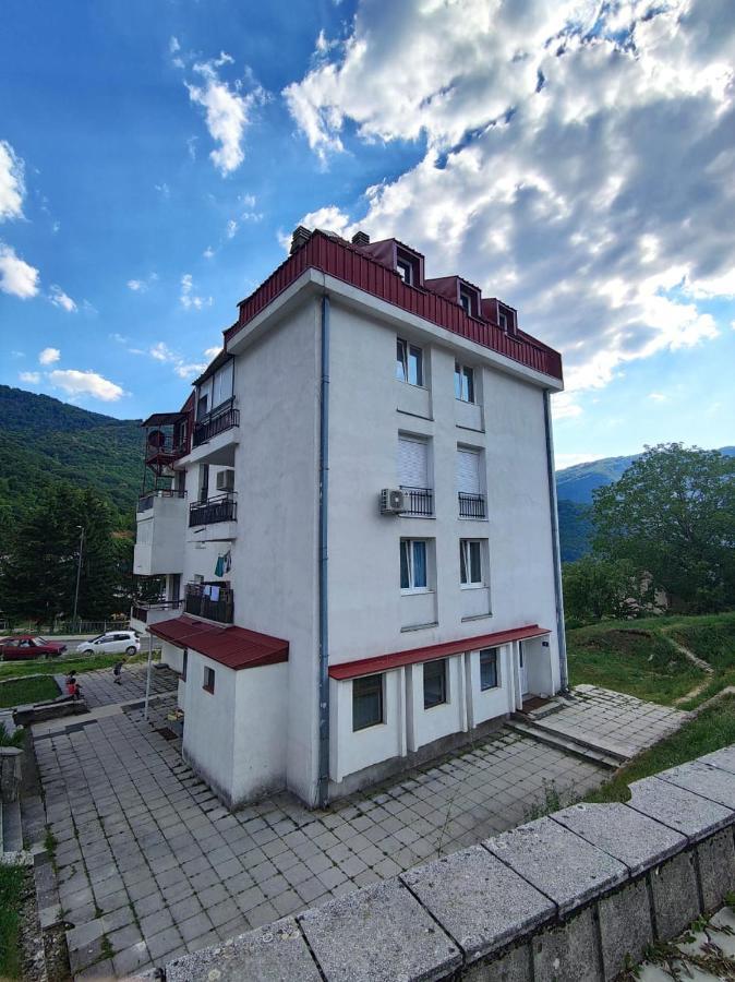 Apartman Sara Pluzine Exterior photo