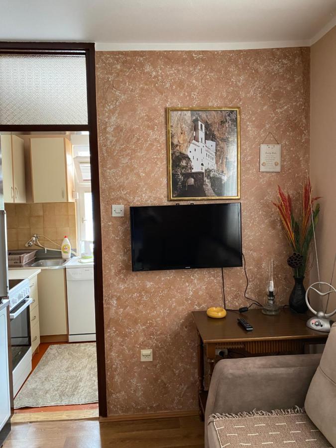 Apartman Sara Pluzine Exterior photo