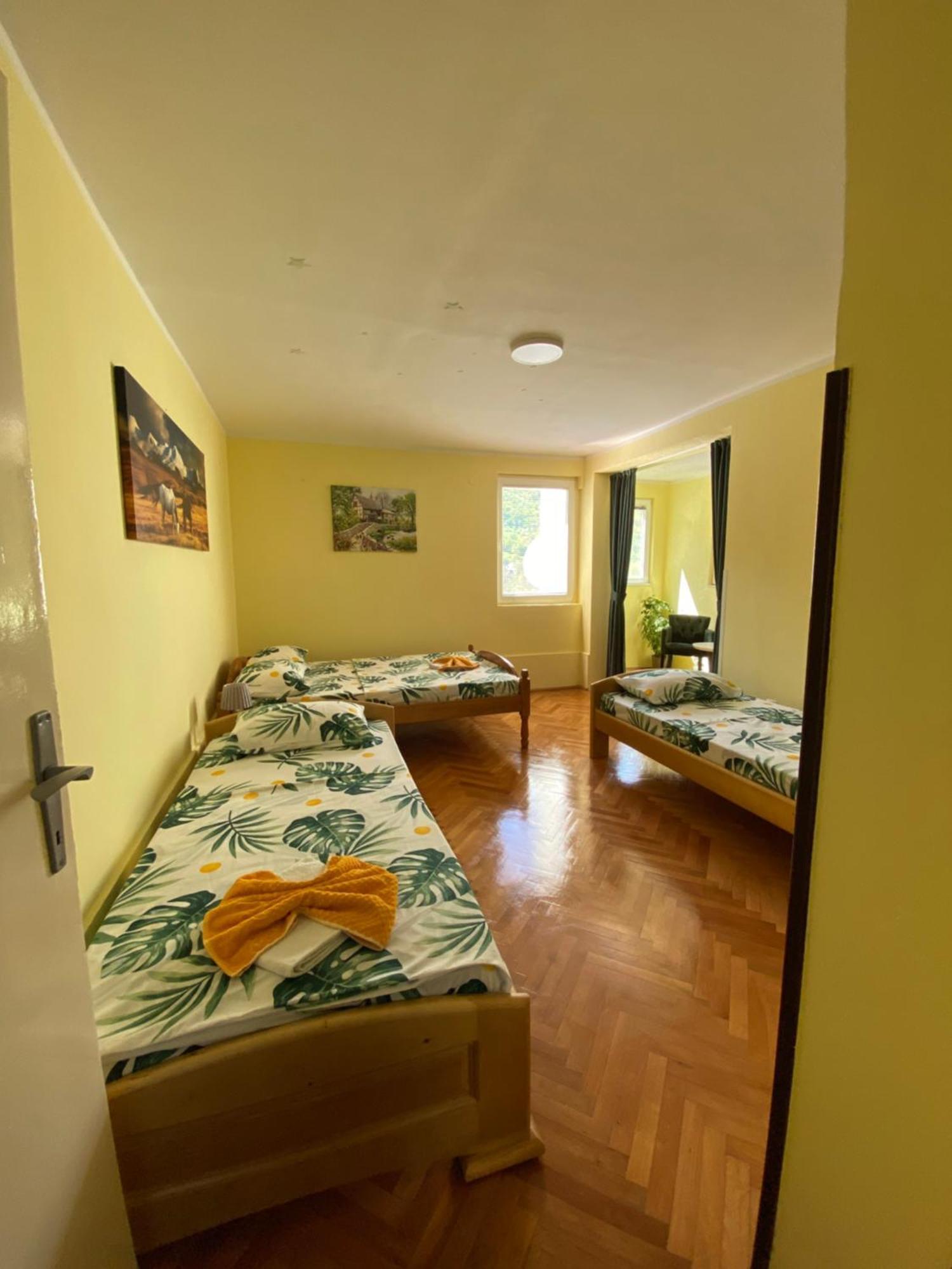 Apartman Sara Pluzine Exterior photo