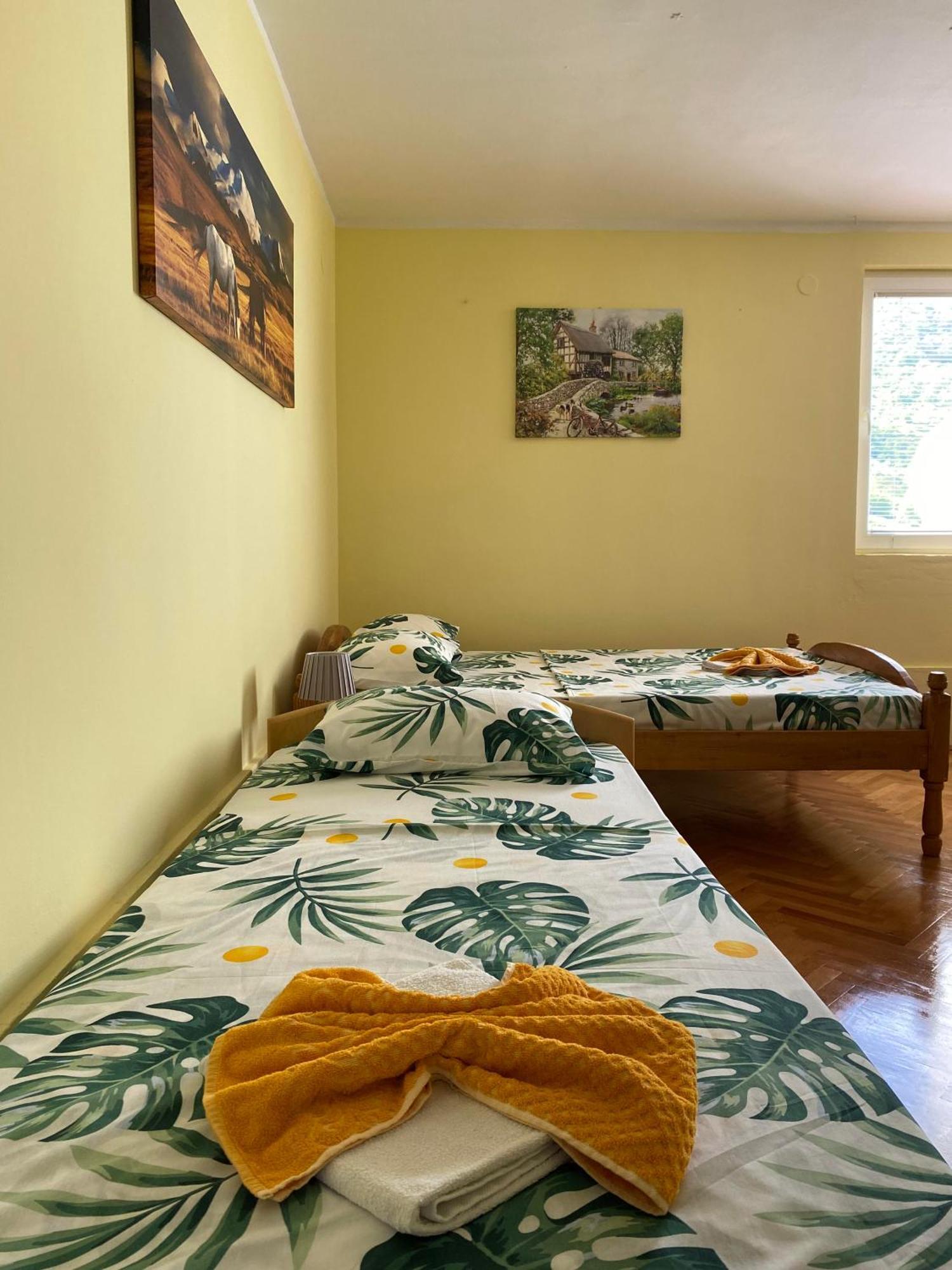 Apartman Sara Pluzine Exterior photo