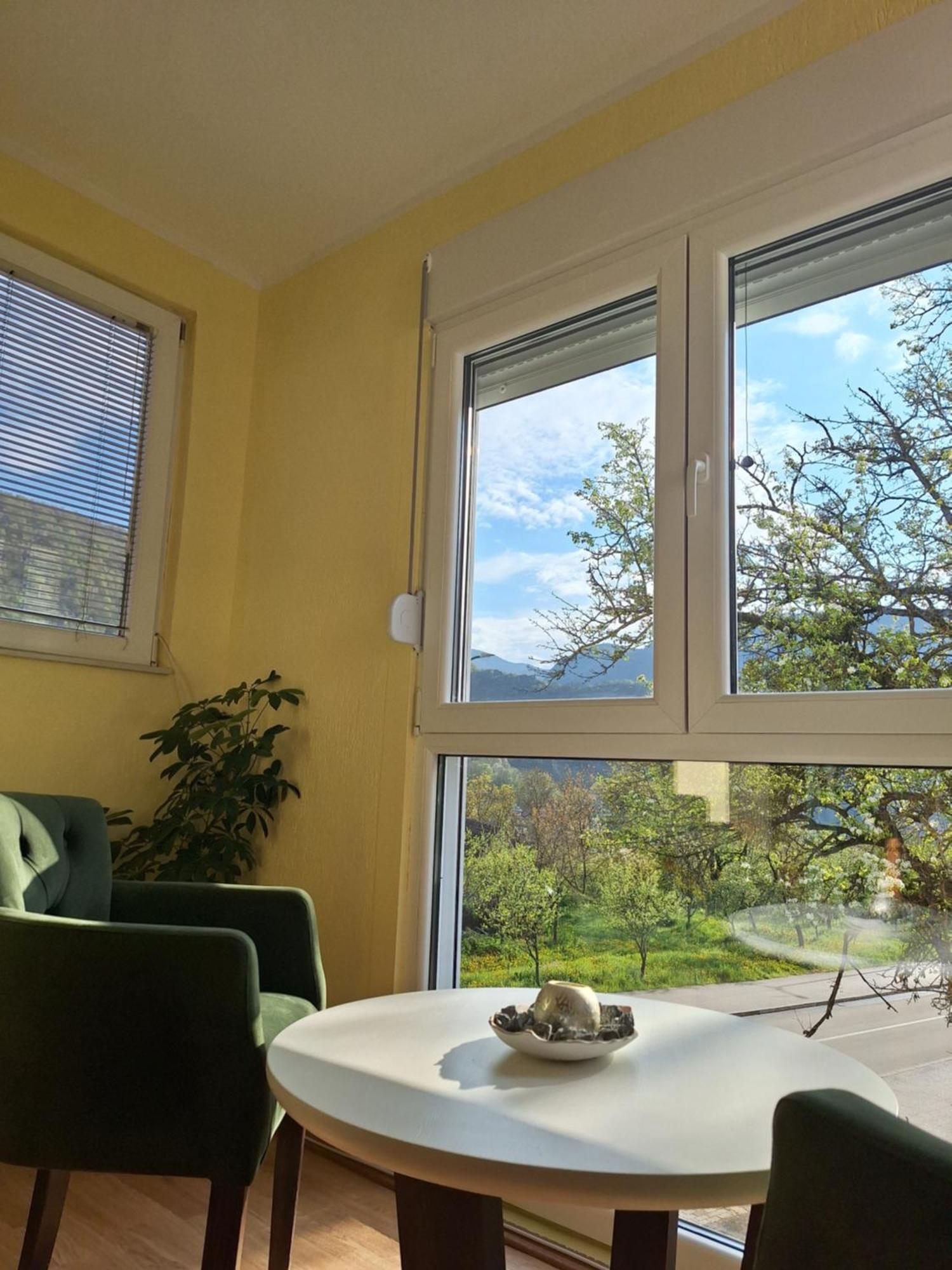Apartman Sara Pluzine Exterior photo